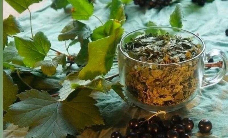 АКЦИЯ «ЧАЙ ПОБЕДЫ» ДЛЯ УЧАСТНИКОВ СВО.