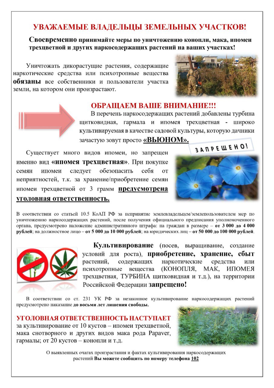 УВАЖАЕМЫЕ ВЛАДЕЛЬЦЫ ЗЕМЕЛЬНЫХ УЧАСТКОВ.